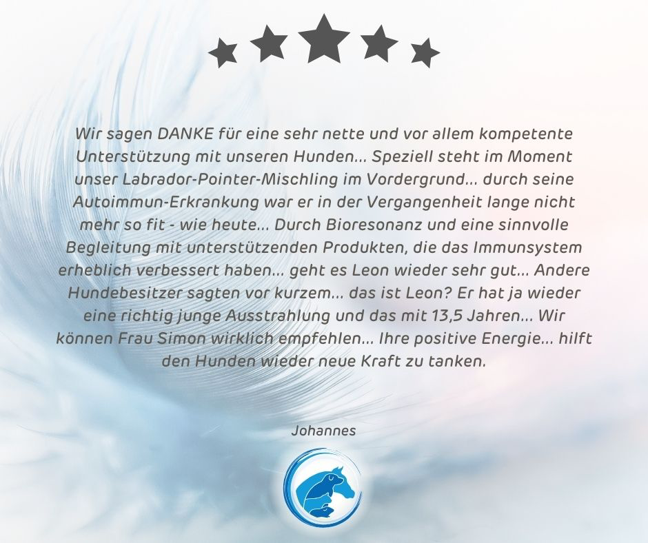Kundenstimme von Johannes über Pamela Simon – Hundebegleitung mit Bioresonanz & Energiearbeit im Allgäu